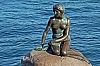 Koerper am Meer - (c) R Plock.jpg